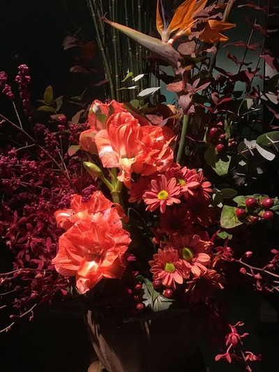 59B29013-F3DB-4B4A-9089-55ED9E0BFC4E