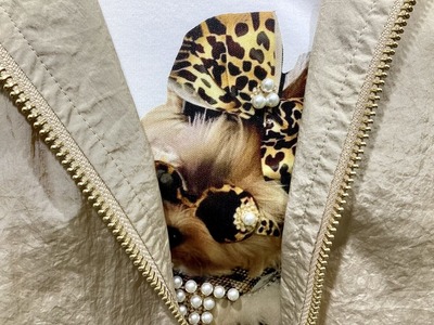 05C1DE01-DCDC-447C-8662-7FD16B9ACF2E