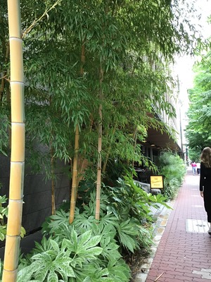 68863DCF-4D6F-42D4-9A0A-877E24ED1E60