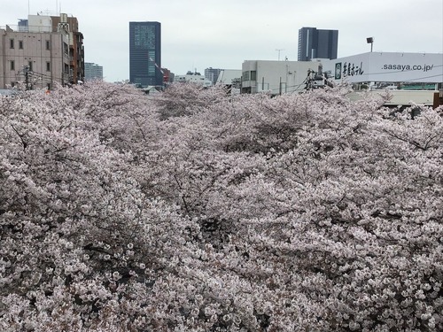 62BEDC07-6FB8-4162-9EEE-56F86C6C31EF