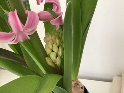 95E453C4-4278-4584-A134-0B01A811EE75