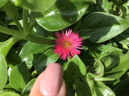 DA293E9F-7364-469A-99E9-F5ACA3782D36