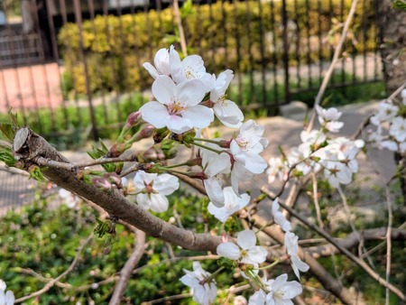 PXL_20250326_015319395~3