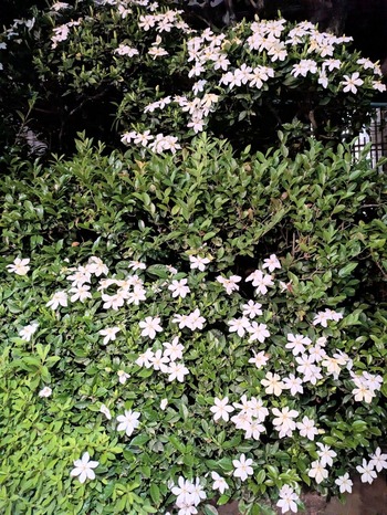 PXL_20260530_143131585