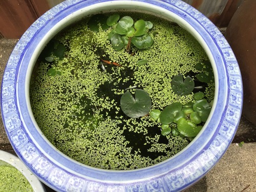 04F31516-79BF-42C6-977F-AB420B42D3EB