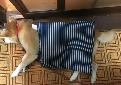 B7E2077B-9145-47CF-AF0C-4527B7E2A68A