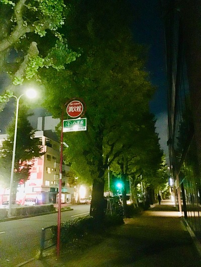 920EA9DE-E721-4FA9-86AB-387804AFDB41