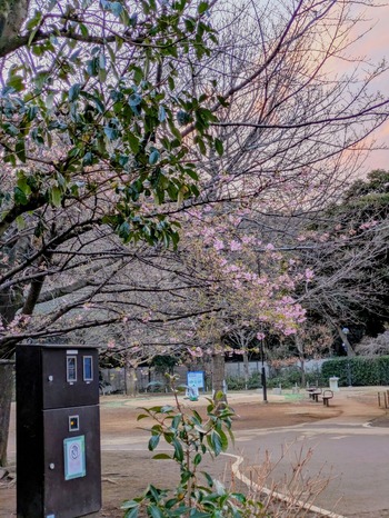 PXL_20260218_081532782~2