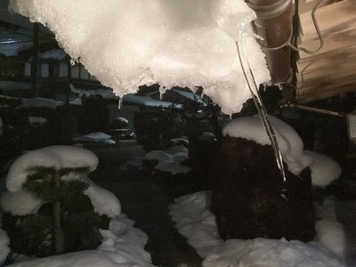 17C0FEDD-BAFE-4658-9DB1-F5CA57E6306A