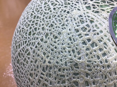 5B1BDA21-4D7A-487B-8653-825E5C747718