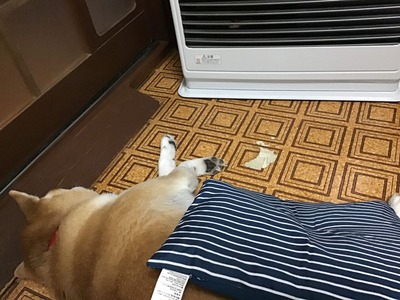 8D9449FE-D2C4-4F0C-AA03-4525F36D1F23