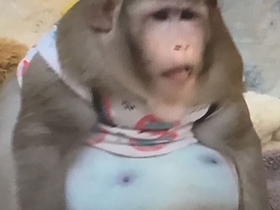 E962F049-4B95-4940-9260-6CF30F6893B7