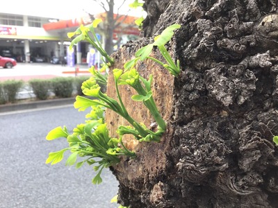 91FC3BCC-CEBA-43F1-9CB3-0DF7476121AD