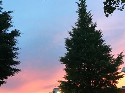 4F6E4ED3-CDDF-4E46-BE46-7A6DBA025780