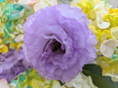 PXL_20260608_001254533