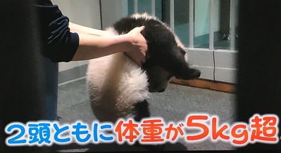 326ABA25-E06D-4BED-B2E7-31802A506EFF