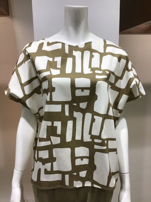 38916705-FFD4-47B6-94ED-261325D2055B