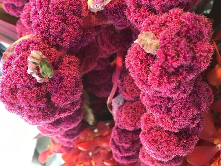 D5AB4A3A-33EC-4F2F-AC68-9DF060A38938