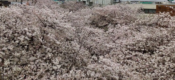 3C58E155-A6A1-4B1C-8FB2-677273DE4E7F