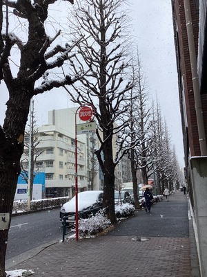 58037516-D2C3-4F1D-8A23-8C88E3572625