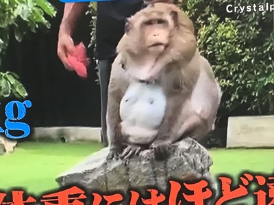 848D22AB-0A0F-439E-8450-338B1D368375