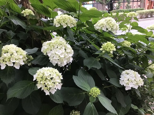 A29817D7-DBEB-4CA9-9E7F-47ED6086563C