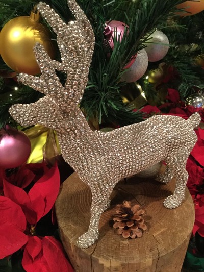 7373B034-A857-4FD6-BB53-8F2B39450D61