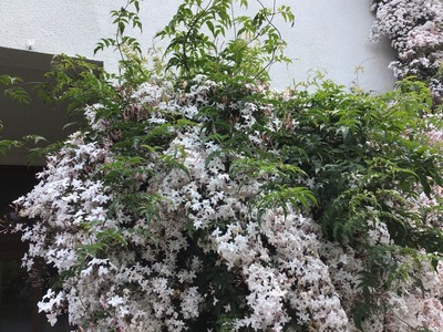 BE19F71E-A0E7-4F71-A74F-DCAFC475C998