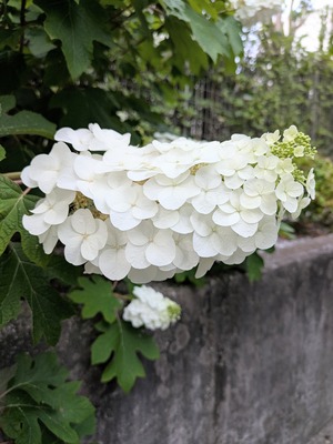 PXL_20260524_085844428