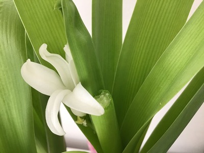 5EE01362-DAC7-48C0-922E-F4D531043782