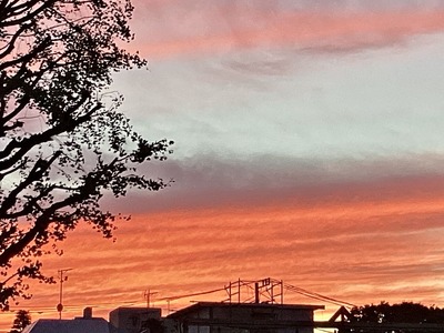 323279E7-823C-4B10-94D9-9A17632EF4E7