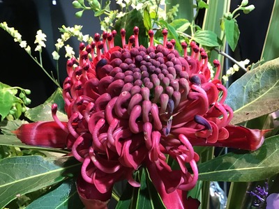 A4028B13-AD98-4FBF-A22A-81F43DDB98CC