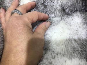 A177C6E0-D04E-4175-926E-13AF973F856A