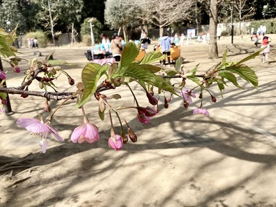 27A86F3D-B035-44D2-9BB4-8BA52DB67BBB