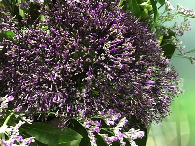 89132BC6-F980-40C0-84E2-2523FBA02FD4