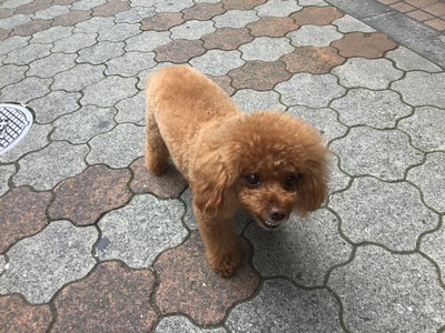 8A6BE154-6912-4F17-9246-B87F7DDD267C