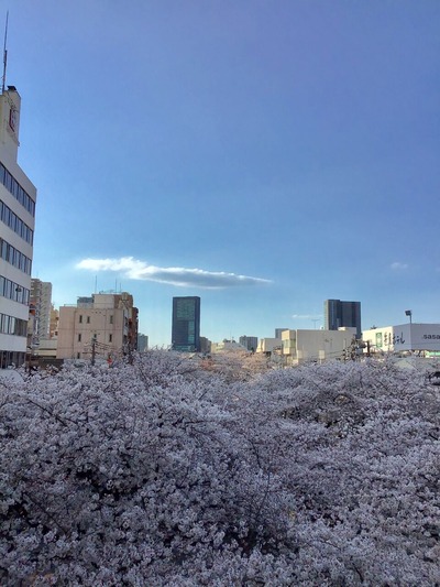 D1B344CA-6B54-49BE-A501-AB9F37C87218