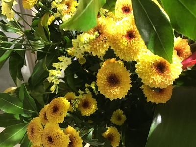 1DFE843C-B0C9-41EE-8C82-067FAB30762D