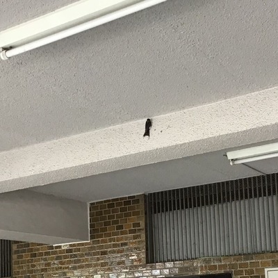 C0FB3472-F641-4F56-BC1F-4FBD554C41A8