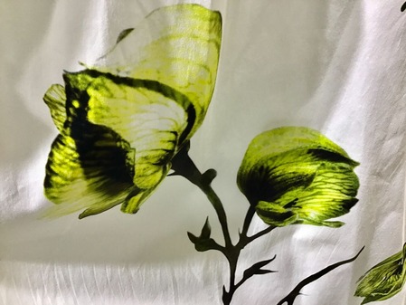 6CDBBBA9-3CD0-44C7-80D1-AA830AEC6775