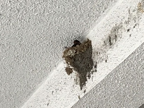 F232BEDE-122F-42BD-9D5D-9F196042A805