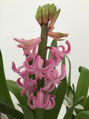 01204A0B-CDEB-4D2B-95E2-EE09F013C7D1