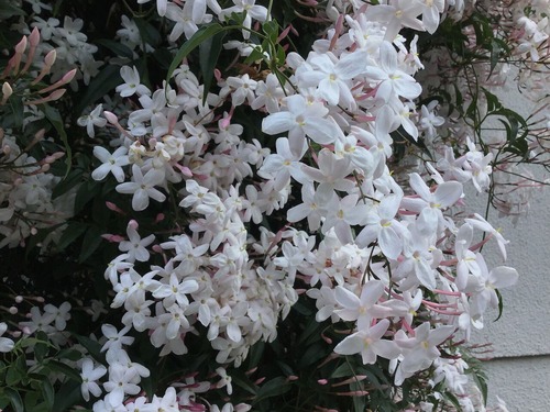 AF5D2657-A9AD-499B-A059-7D34A17415ED