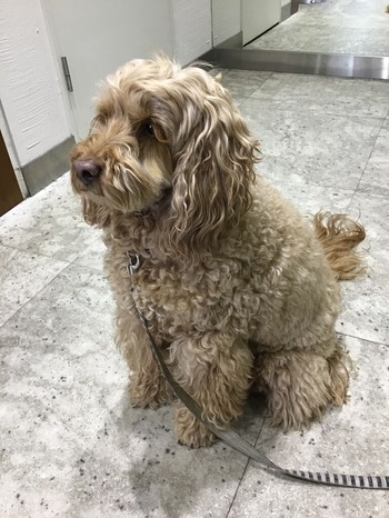 BCC1710F-081F-4CD3-8455-A0DEC90D9D55