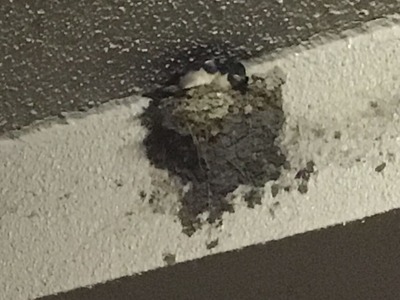 5B96F4A7-69F6-4573-8260-3A43025852E5