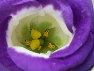 D86CEA11-0187-46D1-84A3-2566CB5AA620