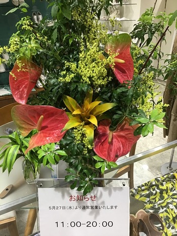 264E3C2D-2D59-4DC6-9C3A-65C2CA020C1D