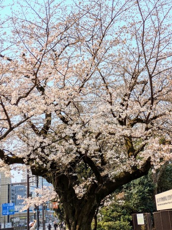 PXL_20250326_015441028~3