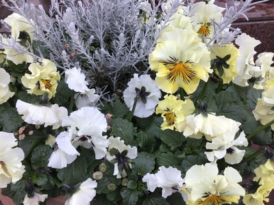 5801E7B3-C870-4F78-A08F-75AF3A939A1E