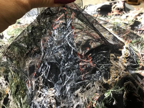 3B33F28E-BE43-4AA0-9740-CA57F542C3BE